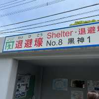 桜島