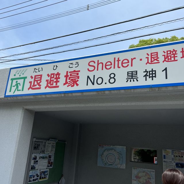 桜島