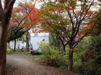 東京賞楓🍁好去處｜栗又之滝