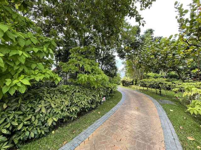 Nature’s tranquility