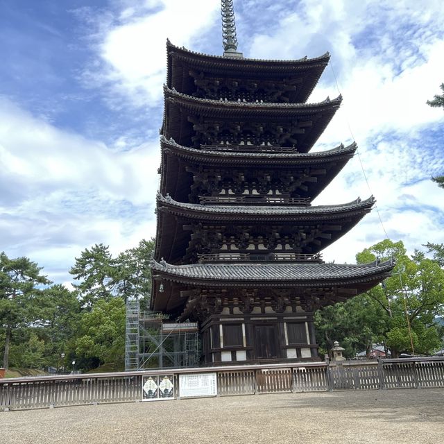 世界遺産を有する公園！奈良公園・東大寺