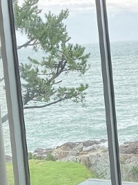 바다뷰 예쁜 카페: 부산 웨이브온커피🌊