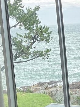 바다뷰 예쁜 카페: 부산 웨이브온커피🌊