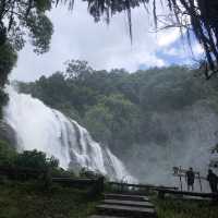 breathtaking waterfall in the national park 