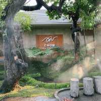CHOM Cafe & Restaurant (ชม คาแฟ่ แอนด์ เรสเตอรอง) 