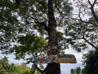 323 Camp & Slow bar cafe