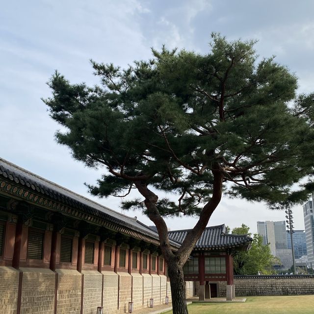 한국인이라면 꼭 가봐야할 경복궁