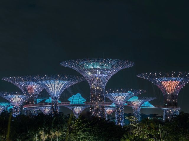 Gardens by the Bay