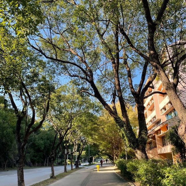 放鬆好地方@愉景灣🏞️