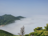 전라남도 신안군 흑산면 홍도에 있는 고치산 봉우리.