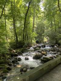 Roaring Fork Motor Natural Trail