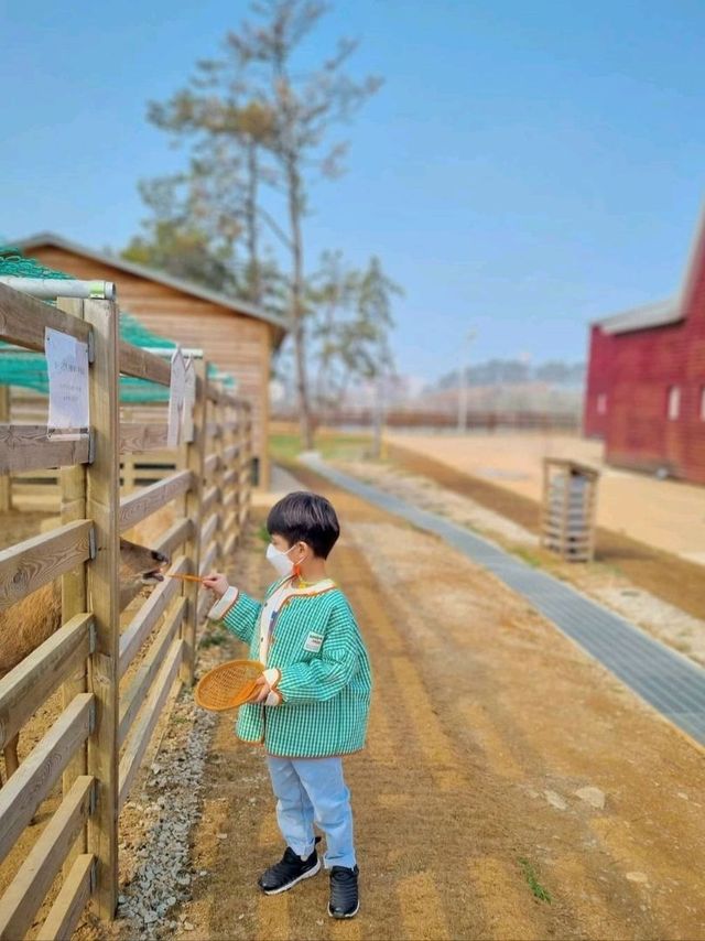고창의 필수 방문코스 상하농원