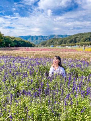 Sangrim Park where a flower festival is held💜