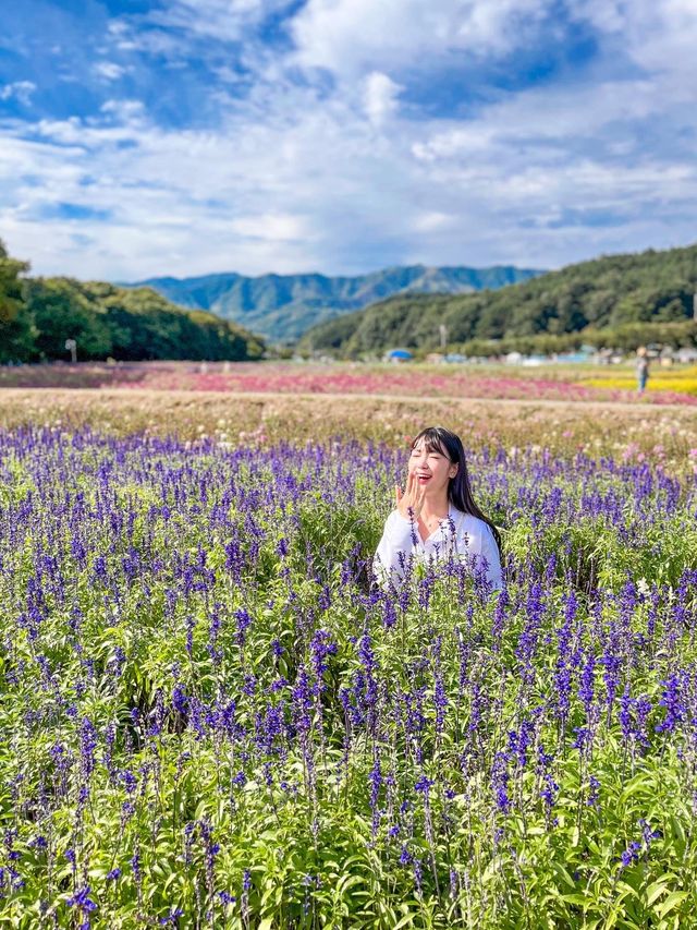 꽃잔치가 열린 상림공원💜