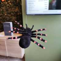 Halloween Decorations 