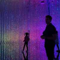 TeamLab Exhibition