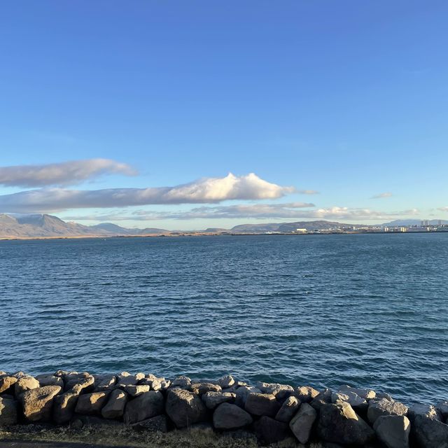🇮🇸冰島遊記 Þúfa 小草丘藝術裝置