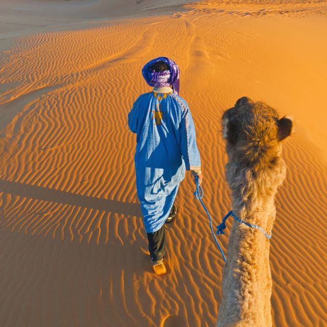 Experience Merzouga Golden sand desert 