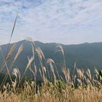 Mount Qiyun(齐云山)|The Gathering of Clouds