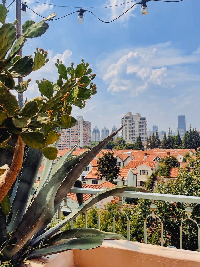 BoboLEE Rooftop Garden, Shanghai🌱🌿