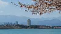속초의 보석 영랑호