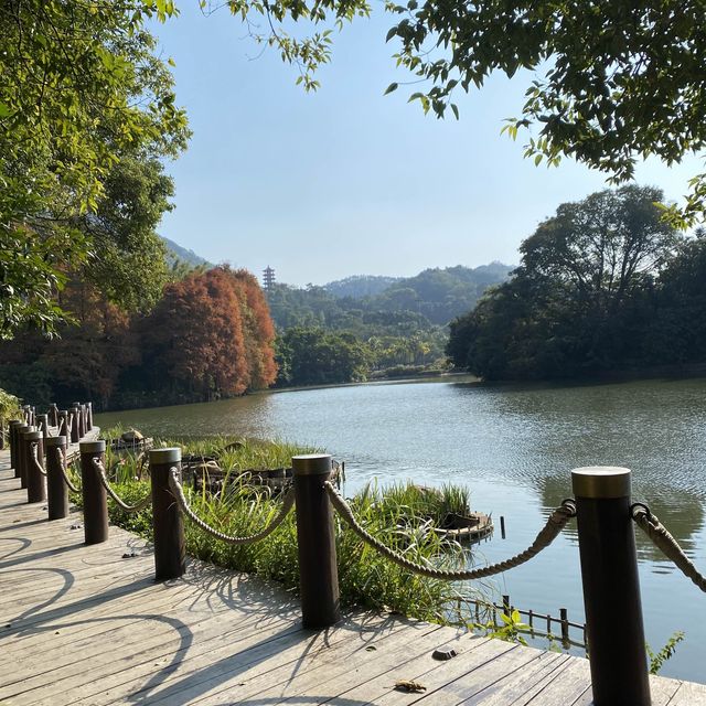 Fairy Lake Botanical Garden