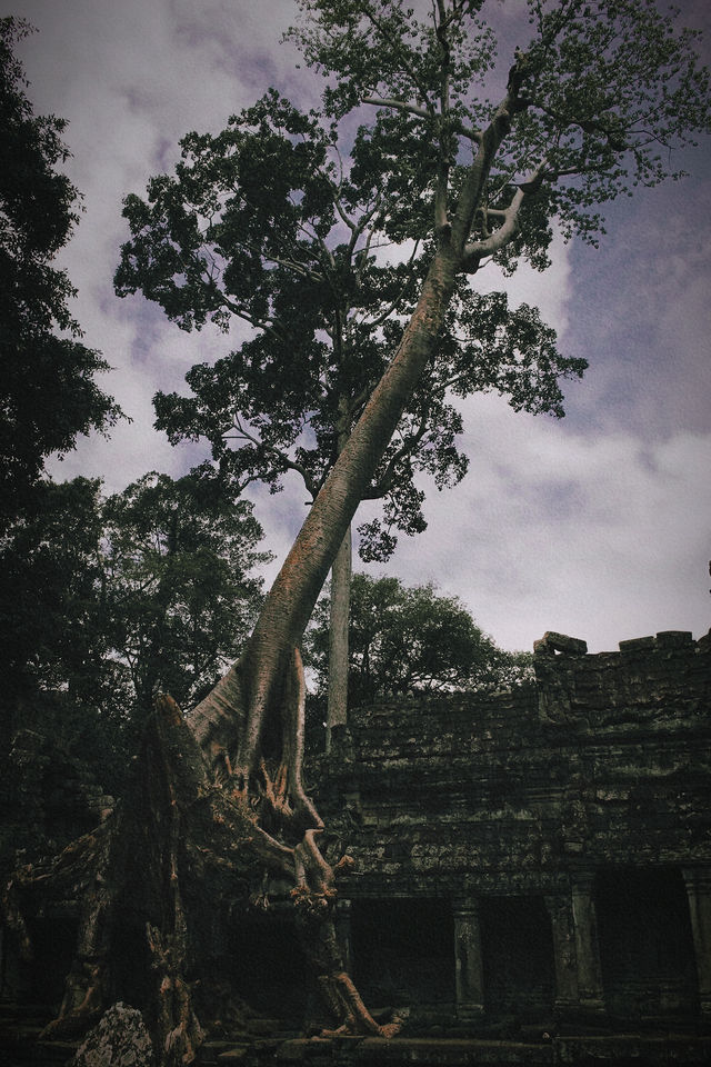 Angkor Wat