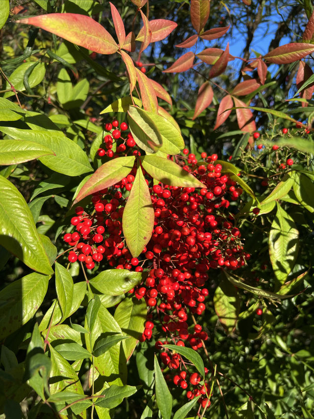 Colorful winter - Seattle