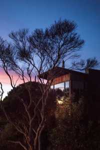 Go to the windy place ~ the charm of New Zealand.