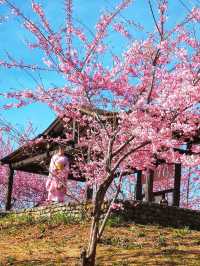 February at Fushoushan: Endless Scenery to Admire