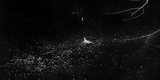 Undescribed #09 (Opening Reception) | GR.iD Singapore (Level 7)