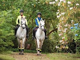 Just Play Horse Riding Hack | TrentValley Equestrian Centre LLP