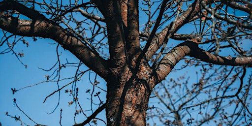 To Own Both Nothing and the Whole World: Midsummer Night Event | BALTIC Centre for Contemporary Art