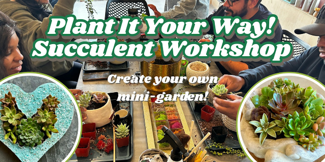 Plant it Your Way Succulent Workshop | iLovetus Succulents