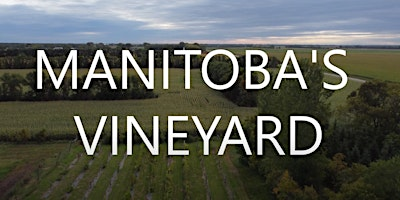 VINEYARD TOUR & WINE TASTING AT MANITOBA'S ONLY WINE VINEYARD | Shrugging Doctor Beverage Company