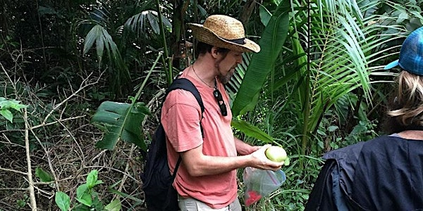 Urban Foraging in Honolulu's Jungles with Dr. Nat Bletter | Honolulu