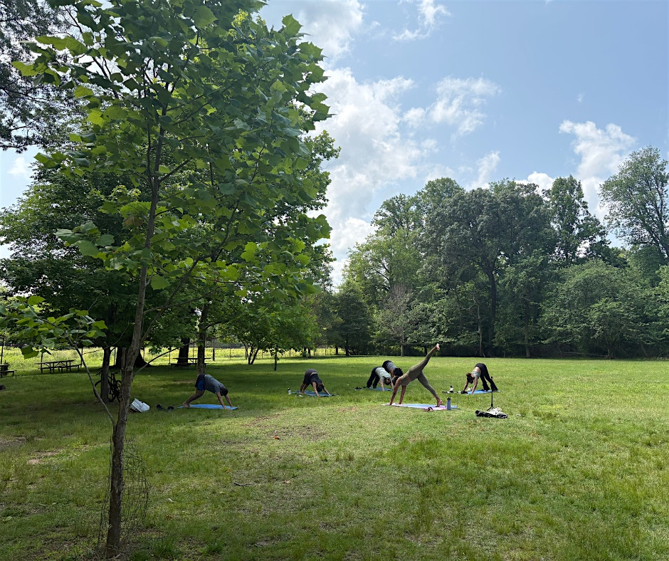 Mindfulness Yoga & Meditation w/ Stacey 8/1 at 11am | Kenilworth Aquatic Gardens