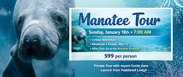 Private Manatee Tour by Crystal River Yoga (Manatee Festival Weekend) | Paddletail Lodge