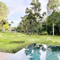 "Plunge Pool” กับวิวไร่ชา..นาขั้นบันได 
