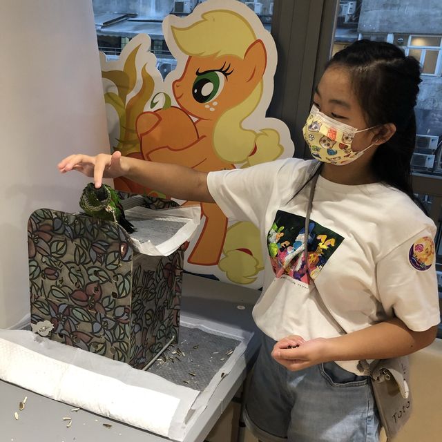 寵物嘉年華 🦜🐕🐿🦫🐕 寵物嘉年華 🦜🐕🐿🦫🐕