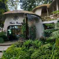 ค่าเฟ่สไตล์สวนป่า กลางเมืองเชียงใหม่
