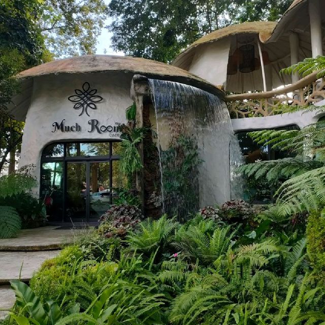 ค่าเฟ่สไตล์สวนป่า กลางเมืองเชียงใหม่
