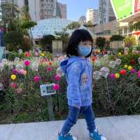 【聖誕及新年好去處：怪誕森林奇遇記】