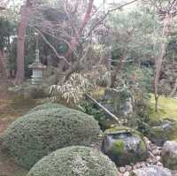 島根　足立美術館　日本第一庭園