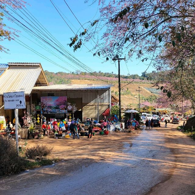บ้านร่องกล้า