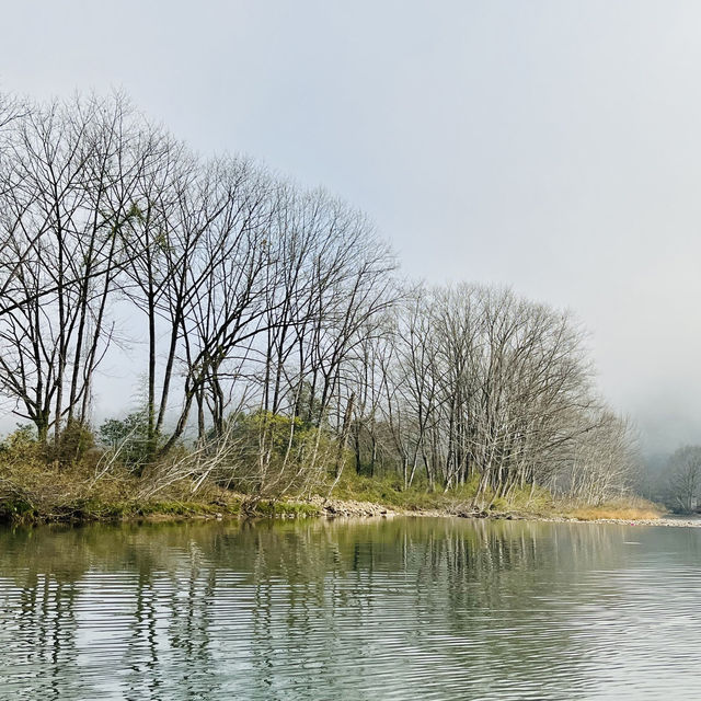 Bamboo Rafting At Wuyishan 