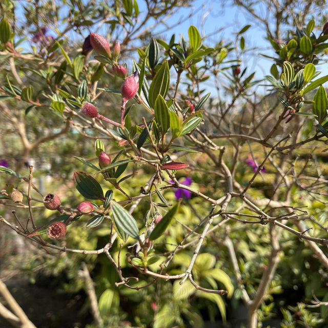 超大型公園草地同設施