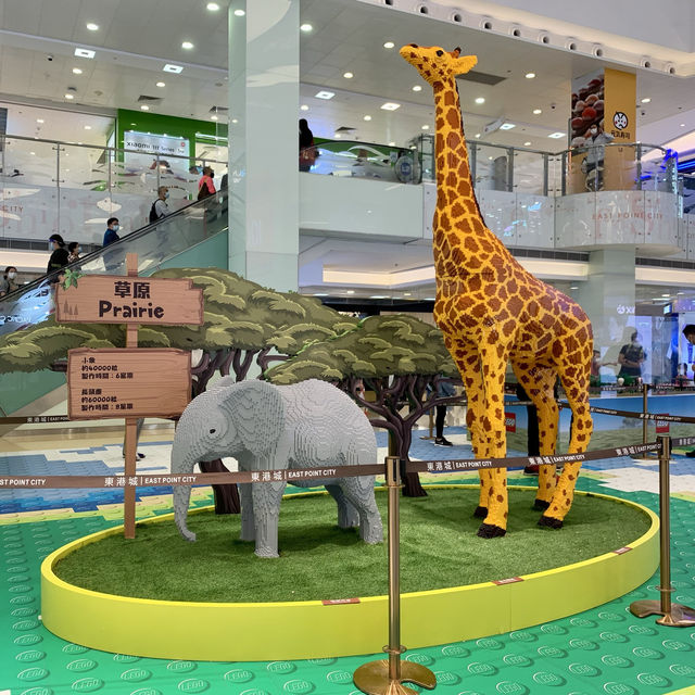 市區 動物園