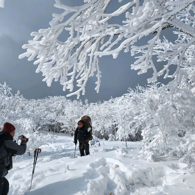 3월 설산에서의 백패킹