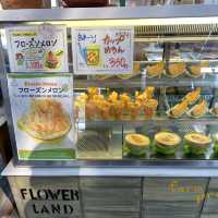 【北海道】美しいお花畑と美味しいメロン🍈